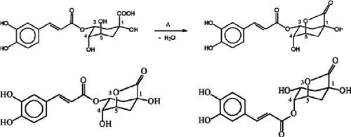 Formation-of-a-15-g-quinolactone-from-chlorogenic-acid-during-roasting
