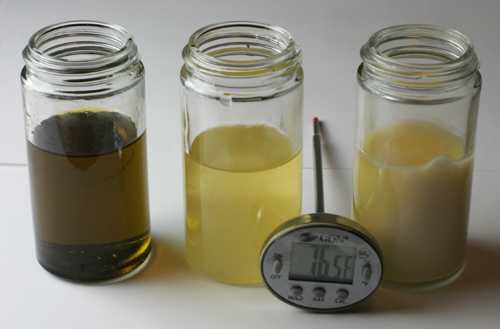 comparison of duck fat, butter and olive oil