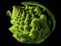 Closeup of romanesco broccoli